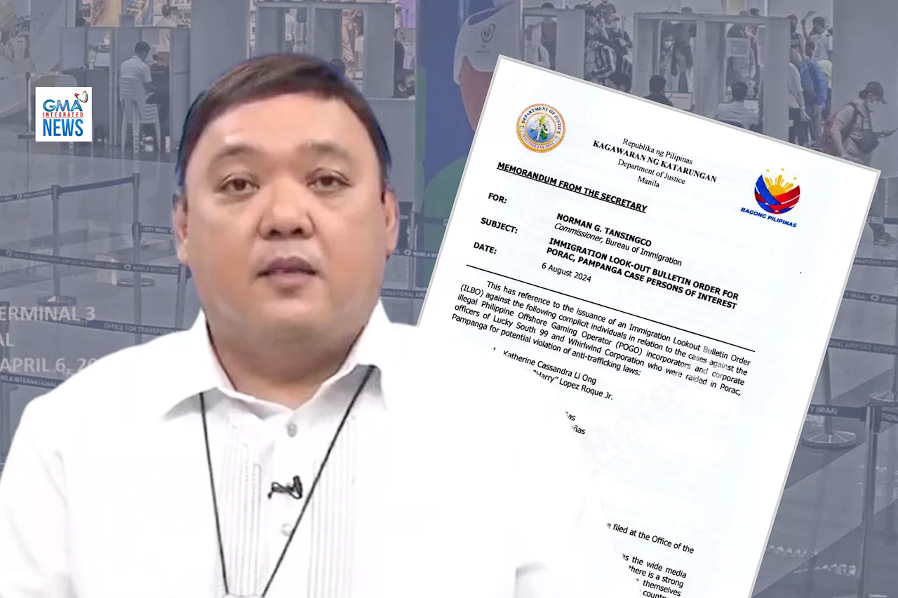 Immigration lookout bulletin issued vs. Harry Roque, others