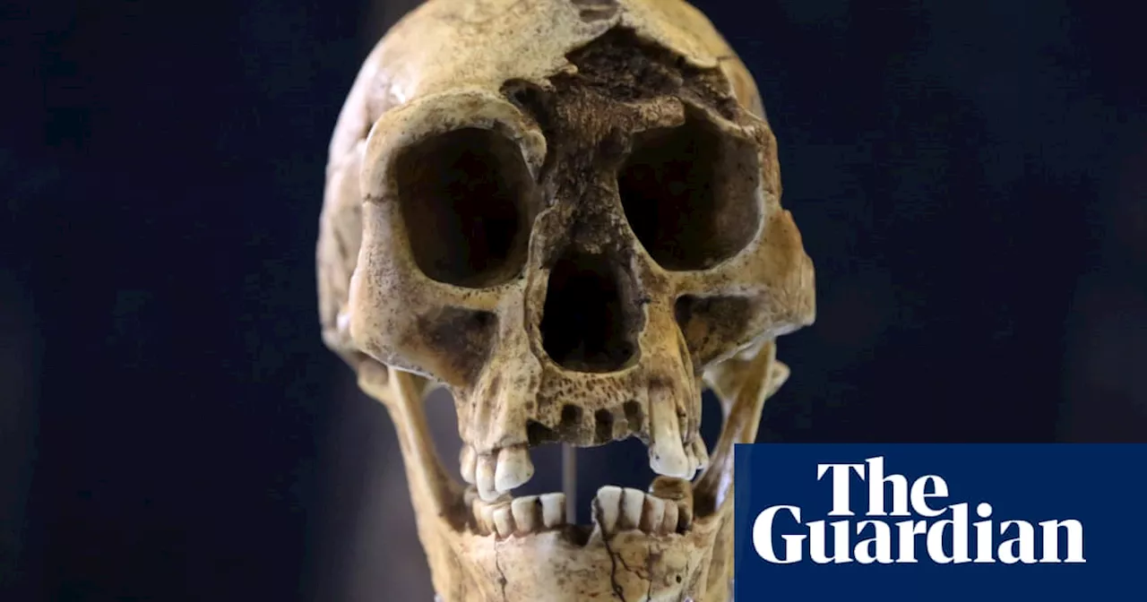 ‘Hobbit’ bone from tiny species of ancient humans found on Indonesian island