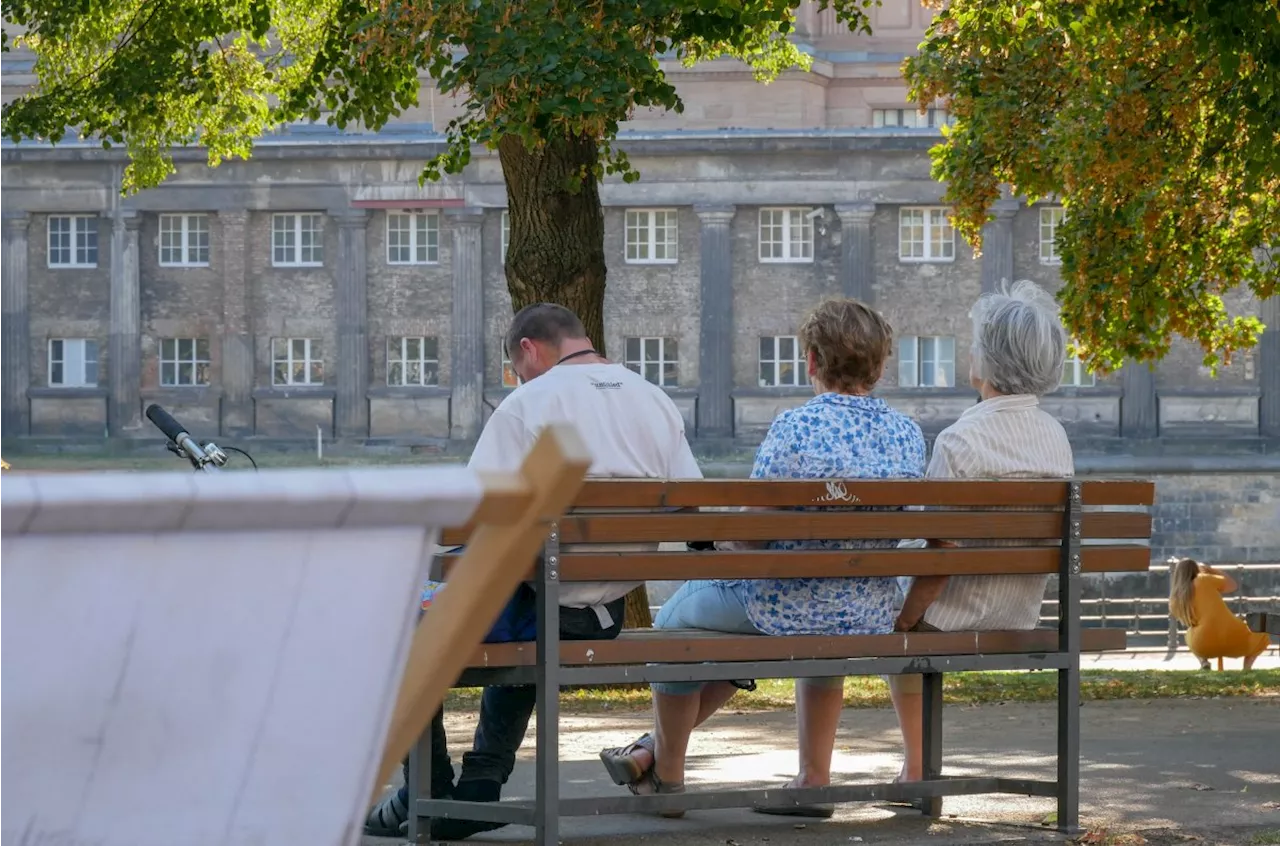 Online-Tool: Hier wachsen diese Stadtbaumarten besonders gut