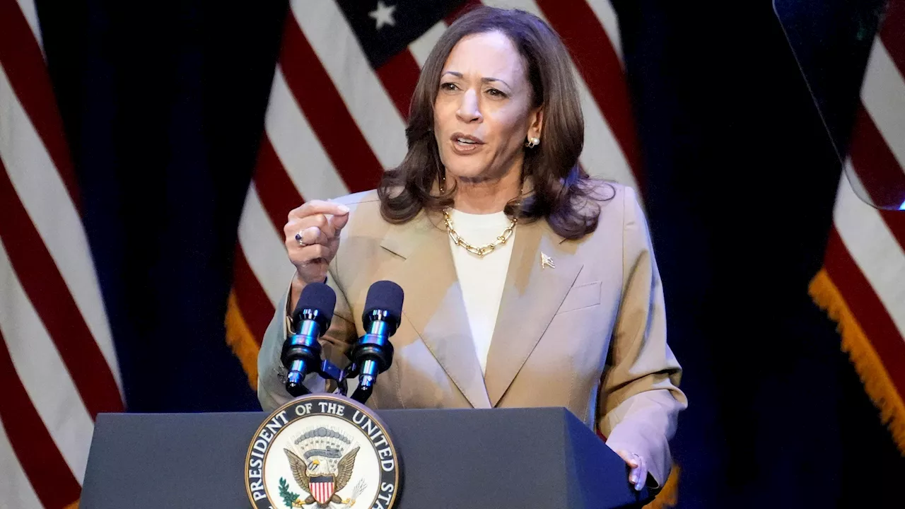 Kamala Harris' Vize? Das sind die 2 Spitzenreiter