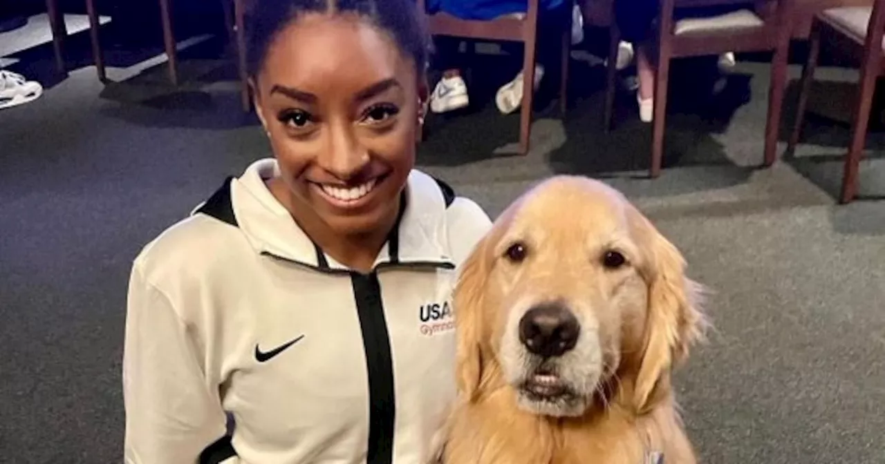 The unsung hero of the world-beating US women’s gymnastics team is a very good boy