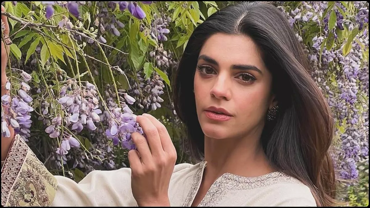 पाकिस्तानी स्टार्स के बॉलीवुड में काम न करने पर Sanam Saeed ने तोड़ी चुप्पी, कहा- 'यह समय की बात है'