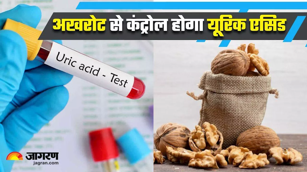 Uric Acid को शरीर से खींचकर बाहर निकाल सकता है अखरोट, बस पता होना चाहिए इसे खाने का सही तरीका