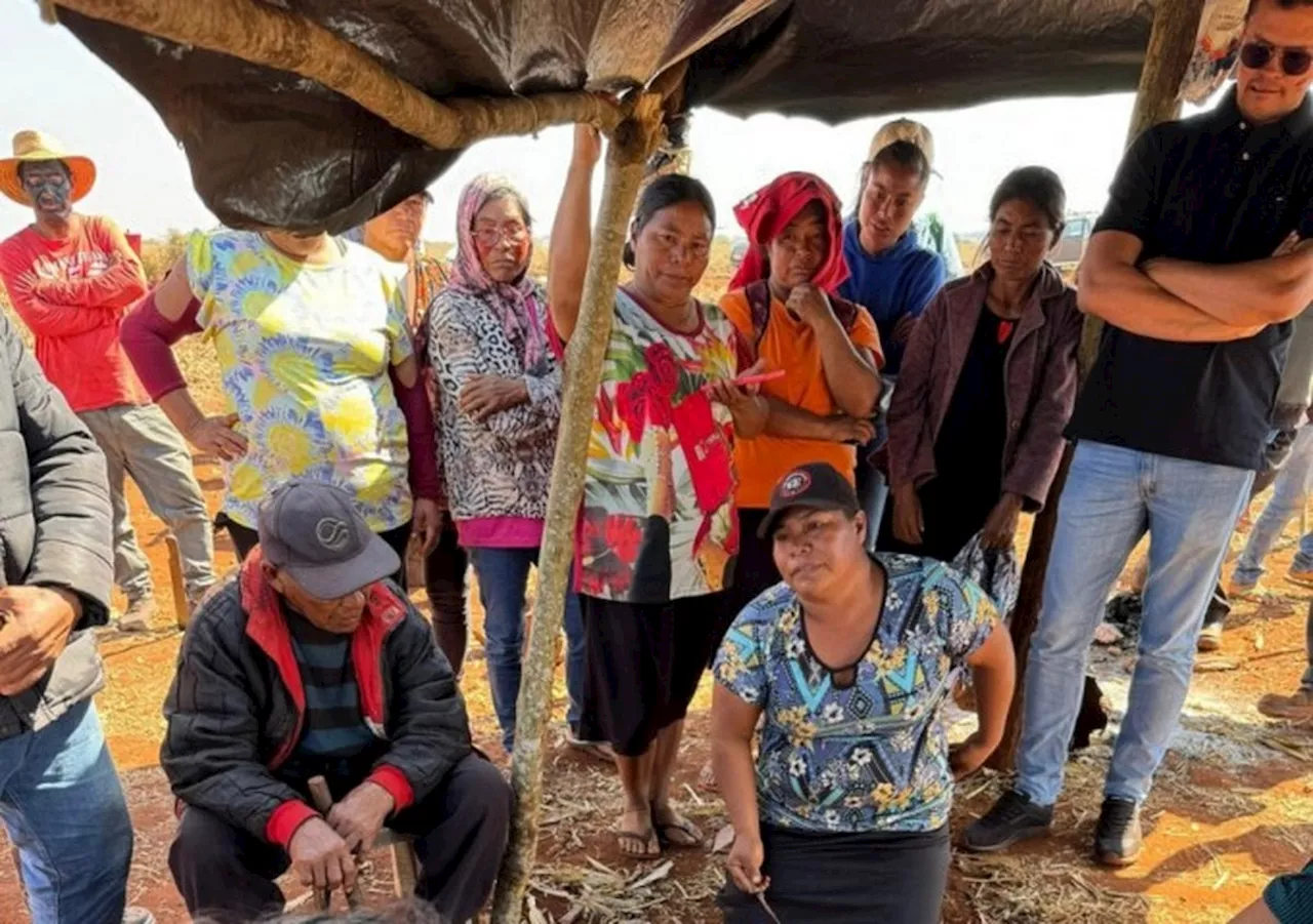 Indígenas guarani-kaiowá denunciam abusos sexuais e agressões de pistoleiros em meio a disputa com fazendeiros no MS