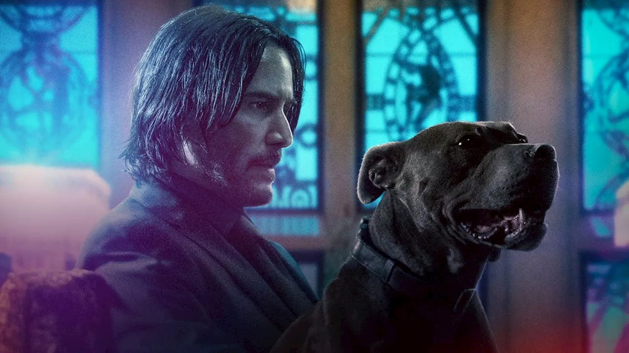 John Wick TV Series Announced, Doesn't Star John Wick