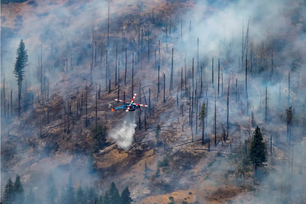 ‘We’re working 24-hour shifts’: HFD firefighters assisting with California wildfire