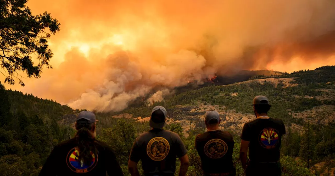 As California salmon population plummets, monster wildfire threatens spawning habitat