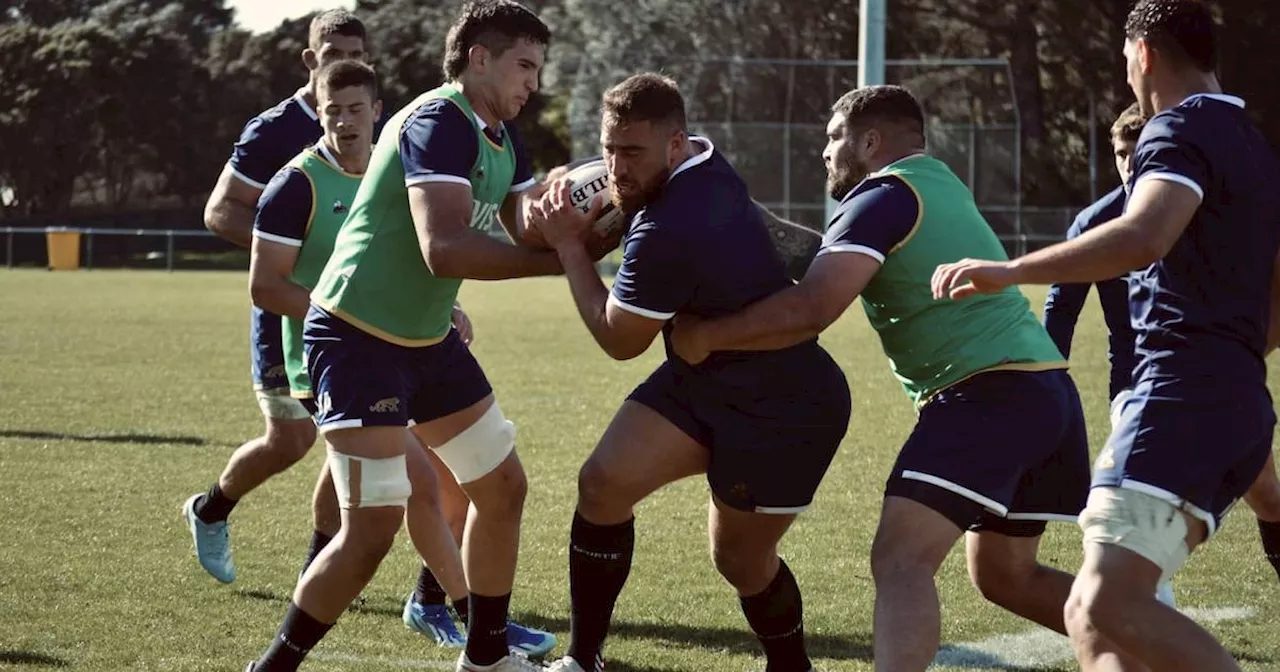 Los Pumas se entrenan en Nueva Zelanda, de cara al debut en el Rugby Championship 2024