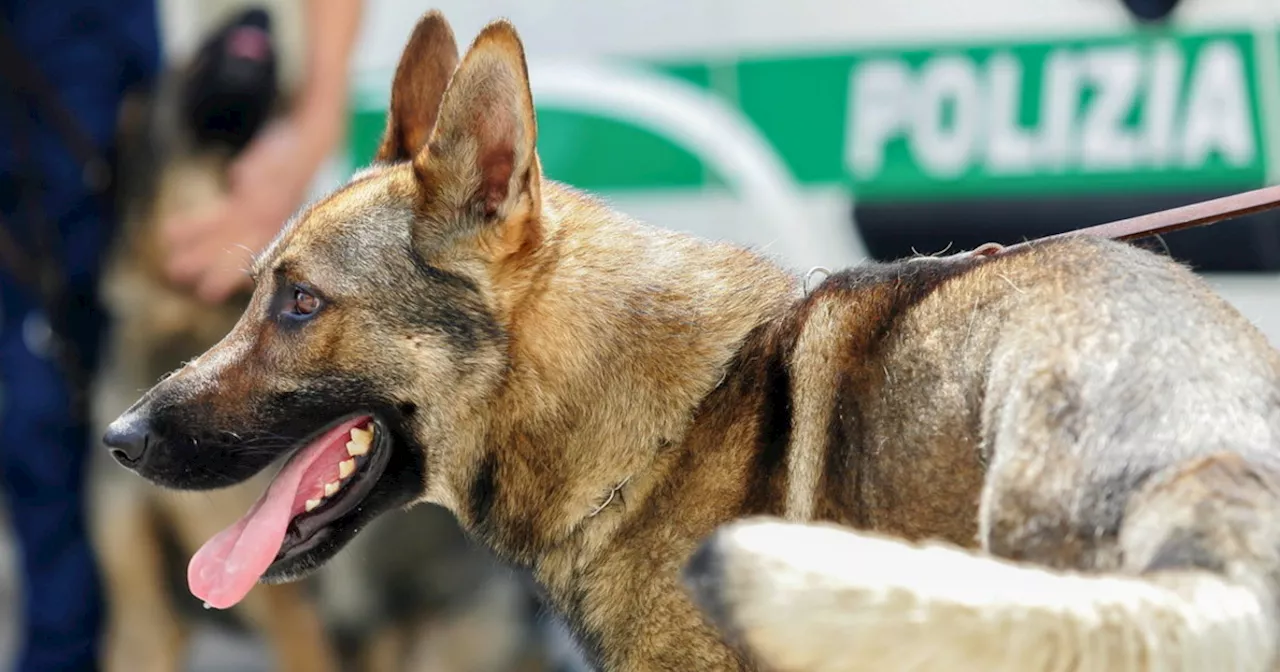 Ponza, Gdf ferma ragazzi con droga: erano in compagnia di un prete