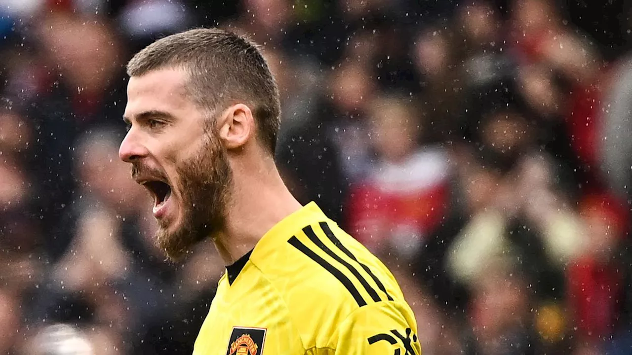 Setahun Menganggur Usai Pisah dari Manchester United, David de Gea Akhirnya Temukan Kandidat Klub Baru