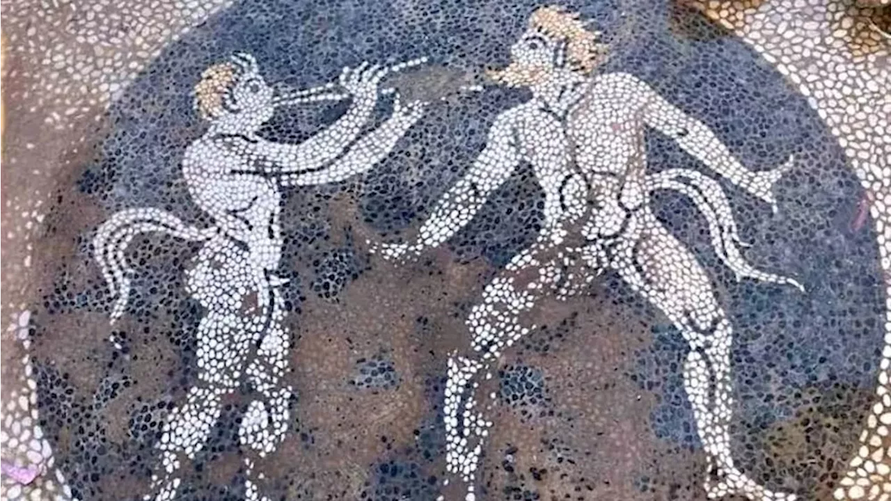 Ancient Greek mosaic depicting two naked satyrs unearthed during construction project