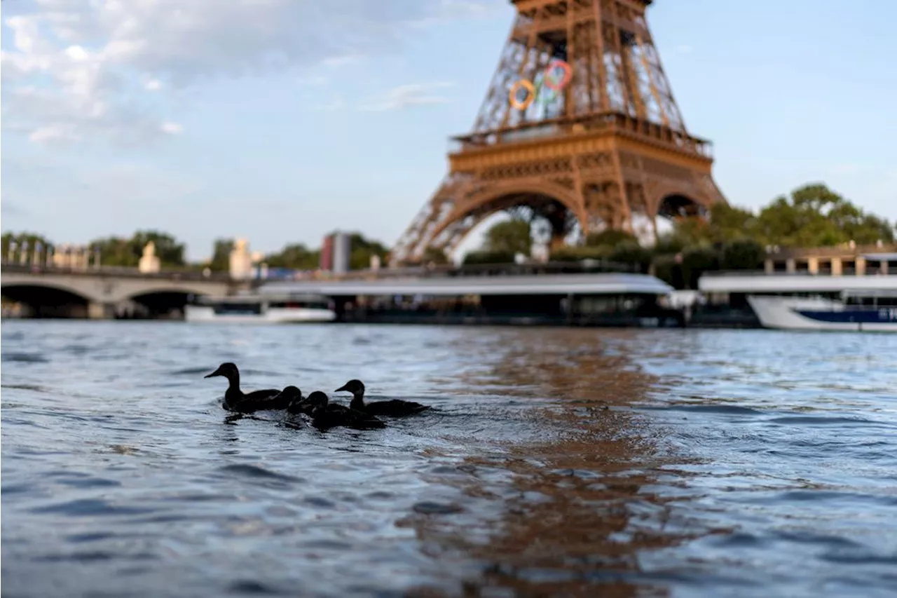 Olympic marathon swim test run is canceled over water quality concerns for Seine River