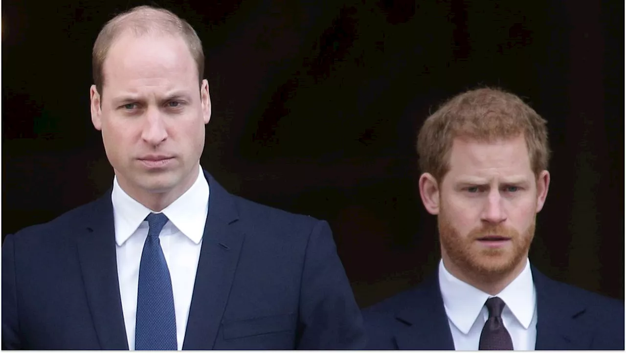 Prince William Is 'Spitting Mad' Prince Harry Keeps Talking About Princess Diana in the Press