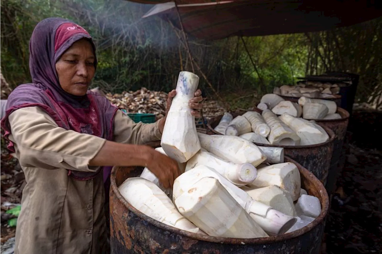 7 Manfaat Rebung bagi Kesehatan, Bisa Menambah Nafsu Makan