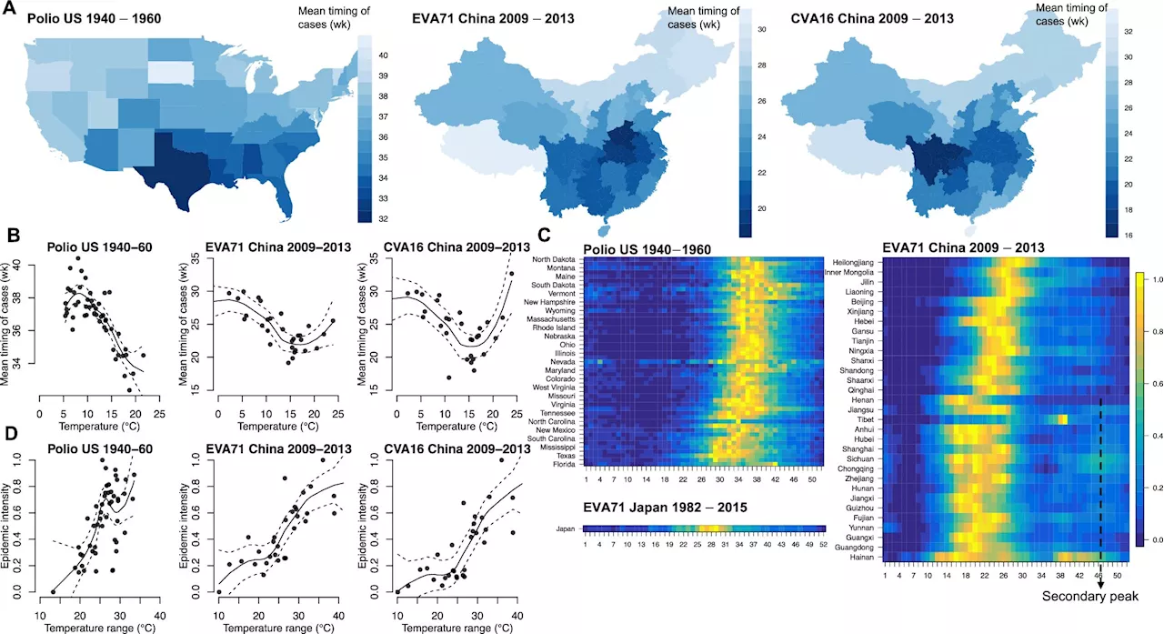 Future enterovirus outbreaks could be exacerbated by climate change