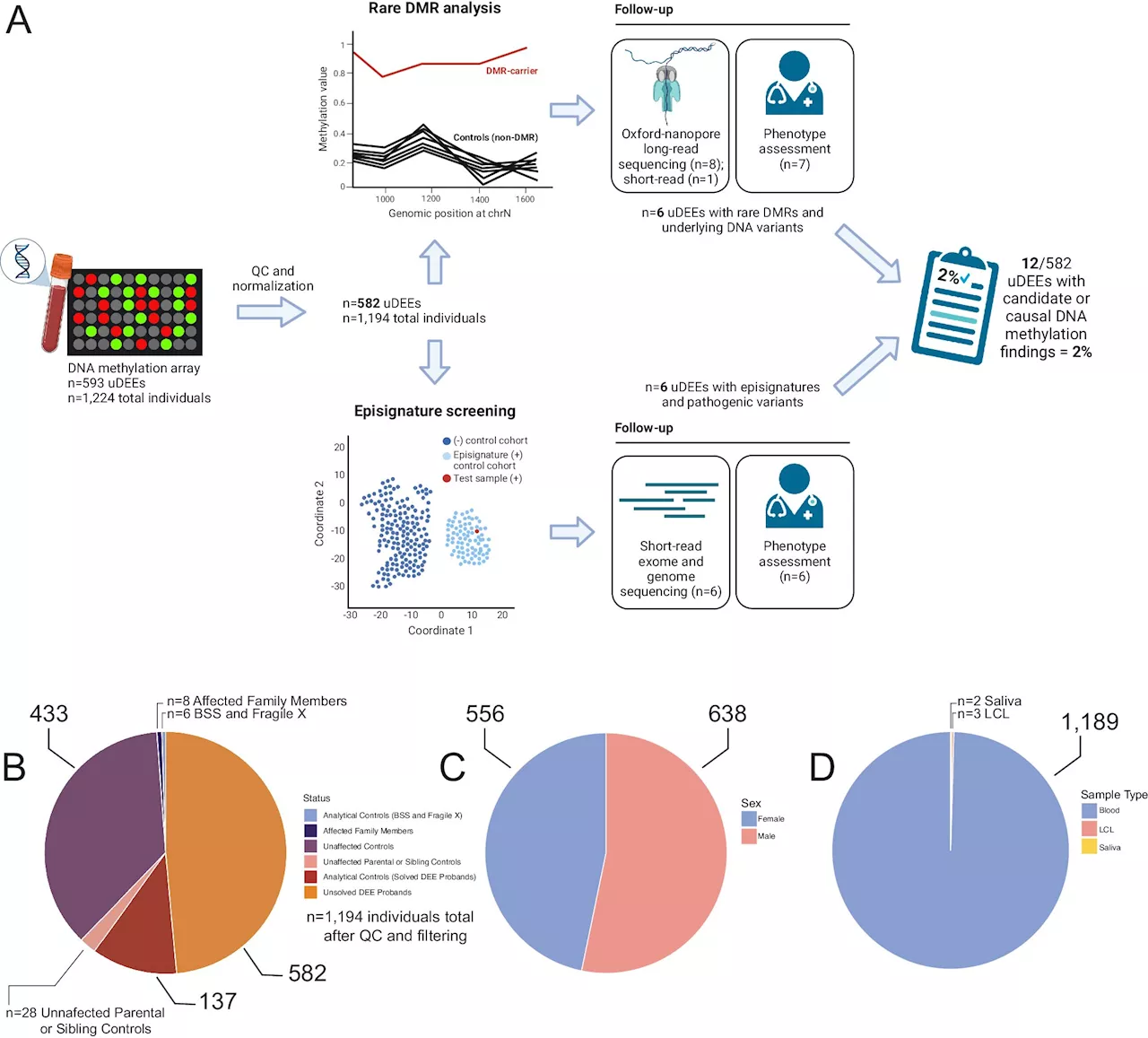 Scientists use DNA methylation patterns as roadmap for identifying causes of severe epilepsies in children