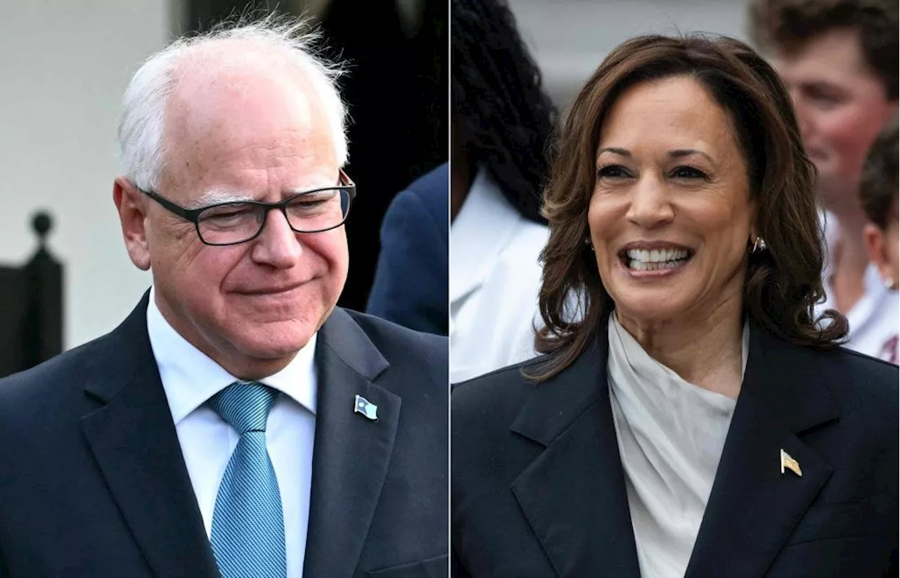 Medienberichte: Kamala Harris wählt Tim Walz als Vizekandidaten aus