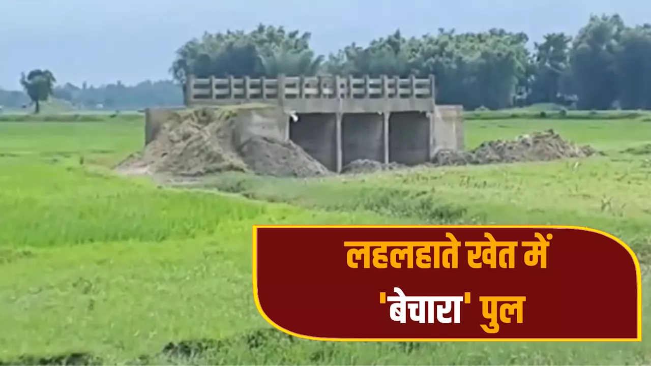 गजब! ना रोड... ना ही नदी, बीच खेत में खड़ा कर दिया पुल, देखिए बिना एप्रोच पथ का दुनिया का पहला ब्रिज