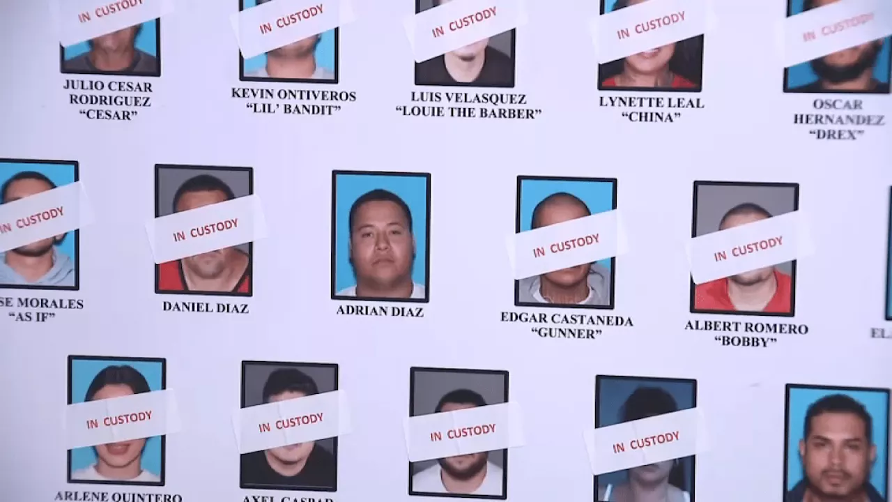 South Los Angeles street gang takedown leads to dozens of arrests