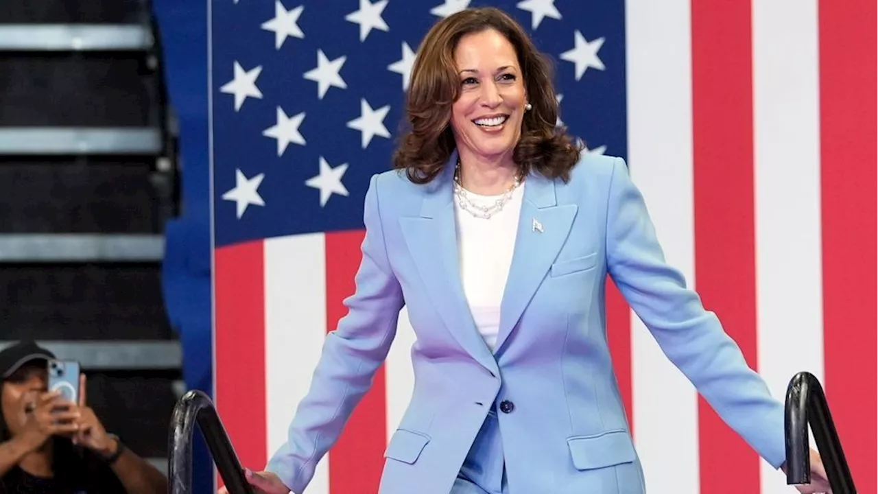 Harris wins Democratic presidential nomination in virtual roll call