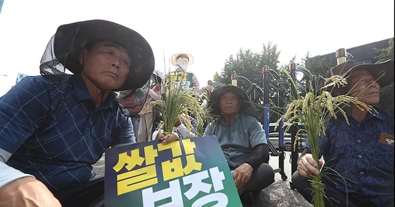 ‘역대급’ 쌀값 폭락에 나락 들고 상경한 농민들 “정부는 대책 없나”