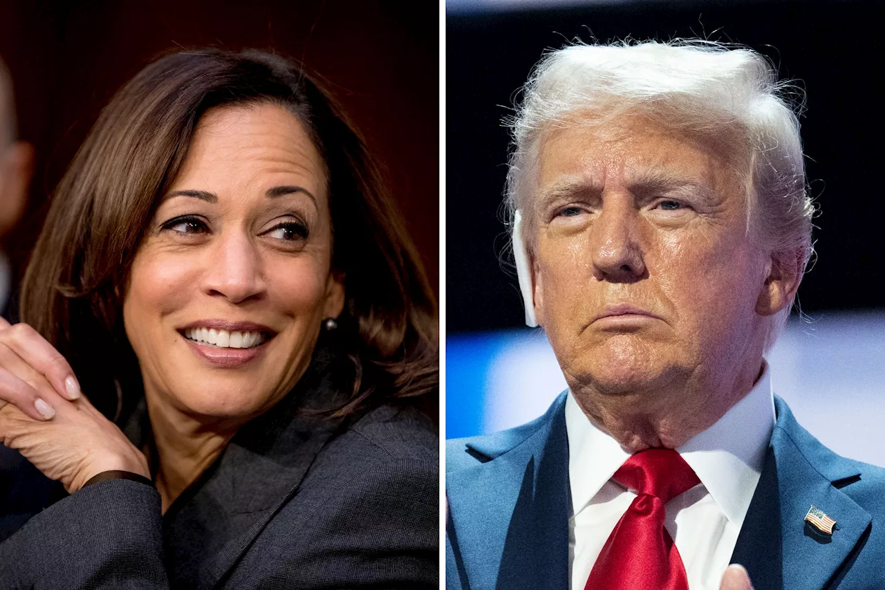 Donald Trump Fails To Top Kamala Harris In Republican-Funded Poll