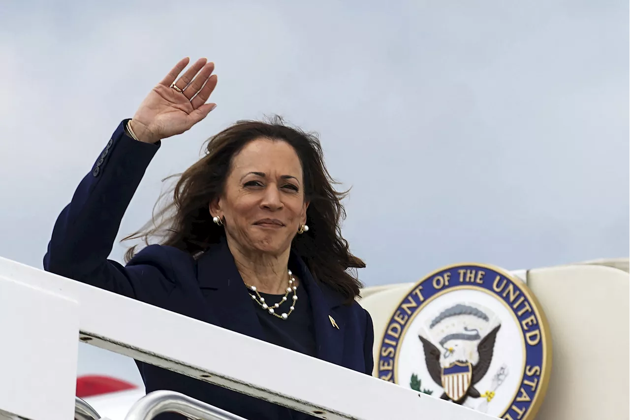 Kamala Harris Now Leads in All Major Polling Averages