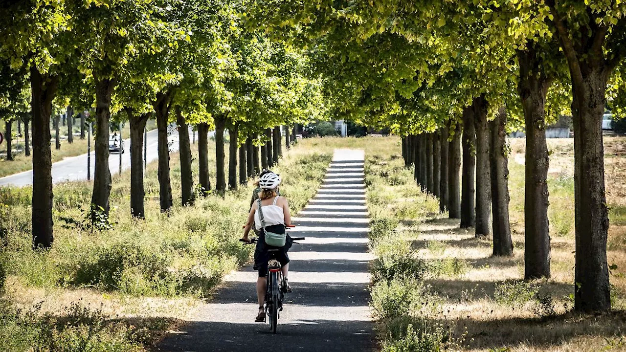 Hessen: Land will an Investitionen in Radwege festhalten