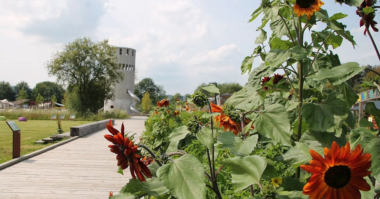 Rabatt im Huxarium-Gartenpark für drei Monate Blütenpracht und Musik