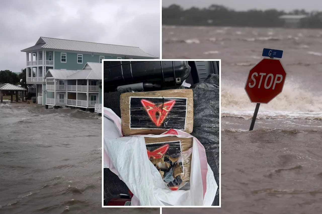 Hurricane Debby blows $1 million worth of cocaine onto Florida beach