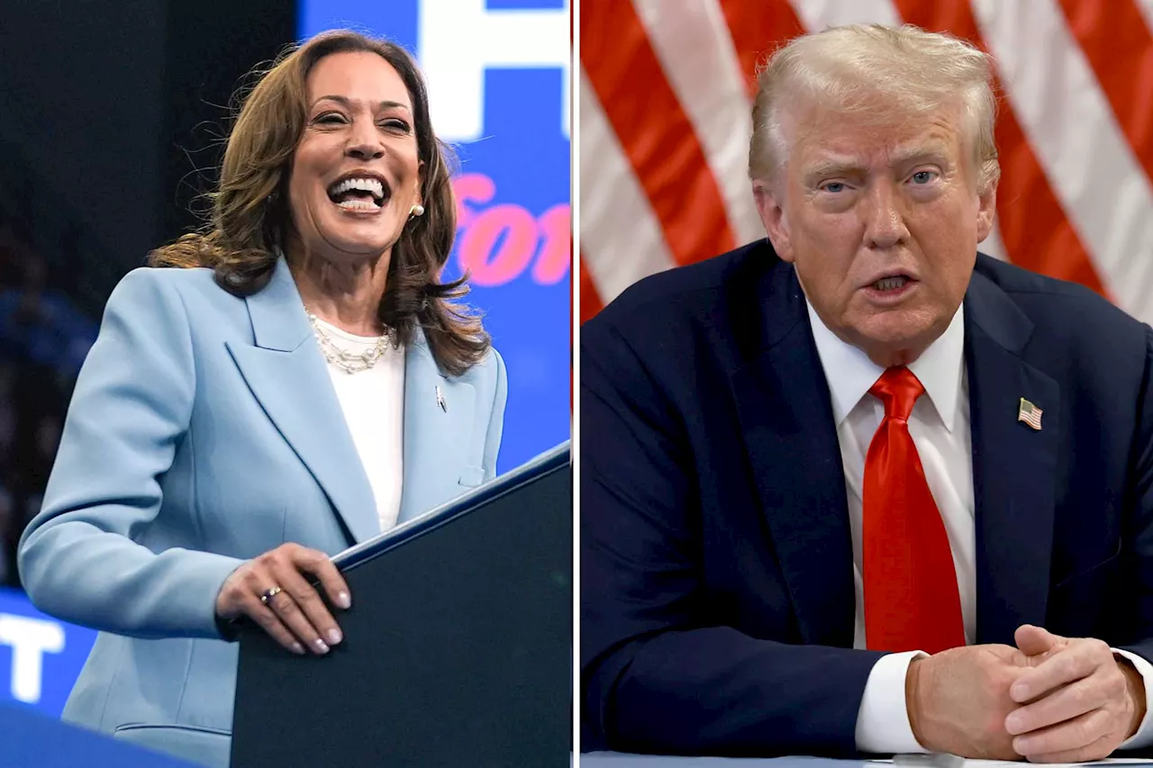 Kamala Harris fares better against Donald Trump in NY than Biden did: poll