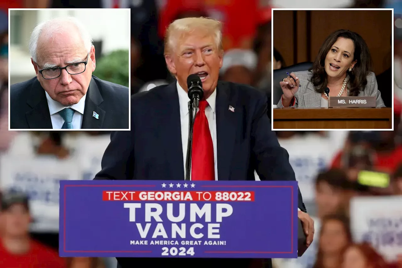 Trump team says it's relieved Kamala Harris chose 'extremist' Tim Walz: 'An easy opponent'