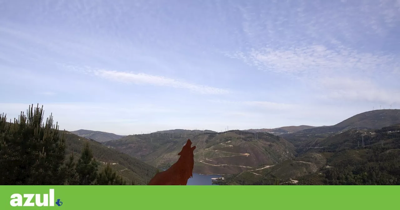 Leilão do Estado para centrais solares e eólicas no parque Peneda-Gerês já gera contestação