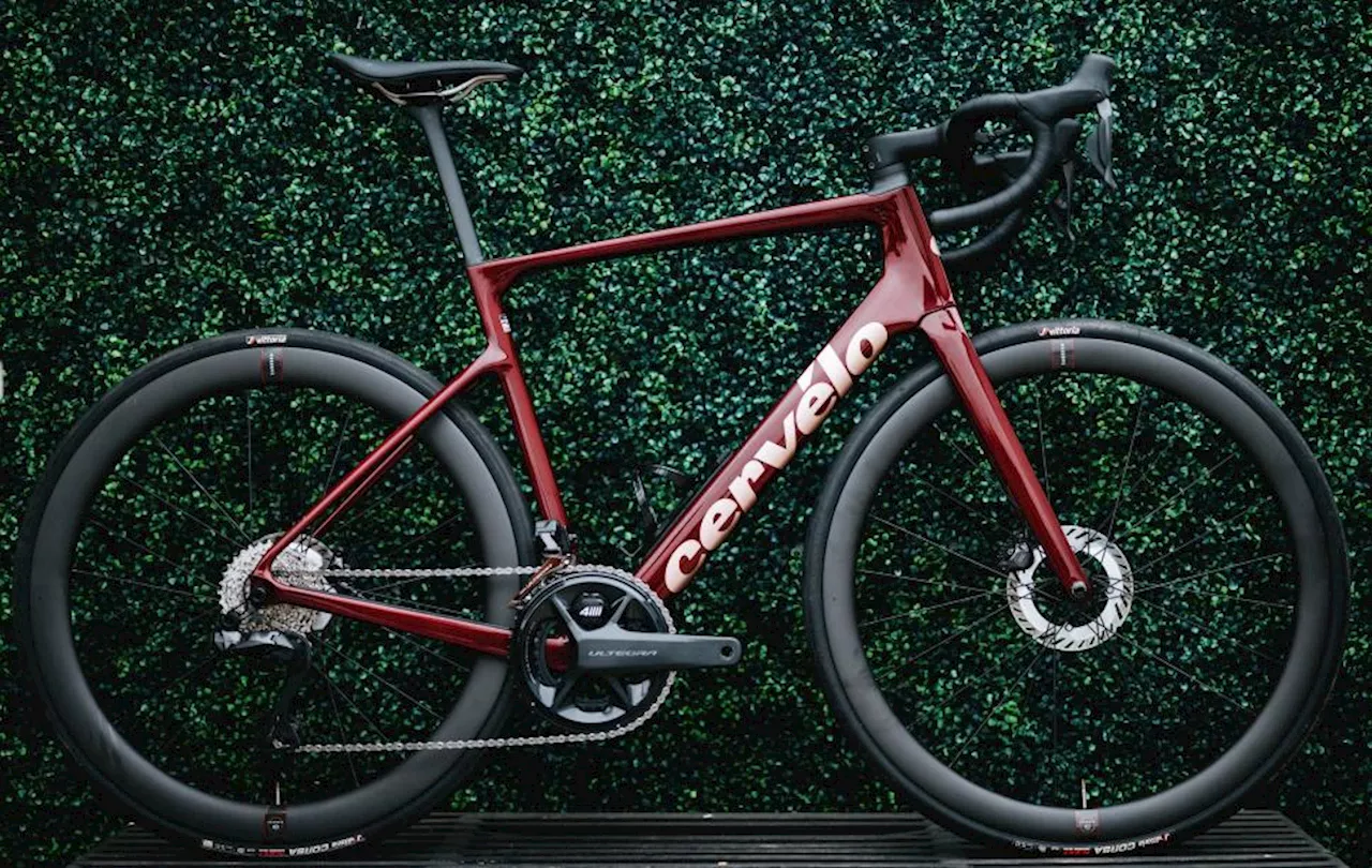 Cervelo releases updated Caledonia-5 all-road endurance bike for "your big, stupid rides"