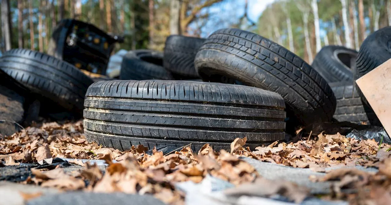 NRW: Größerer Abfall wird zum Problem in Wäldern