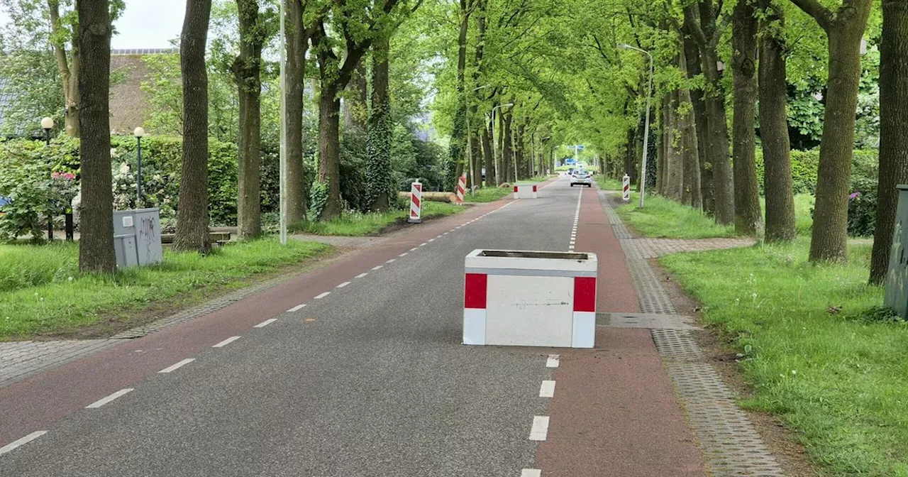 Bloembakken in Hollandscheveld moesten straat veiliger maken, maar dat blijkt niet het geval