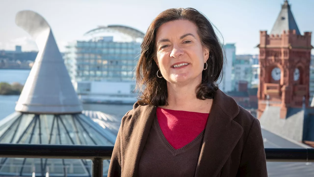 Eluned Morgan: Peer and former MEP becomes first minister of Wales