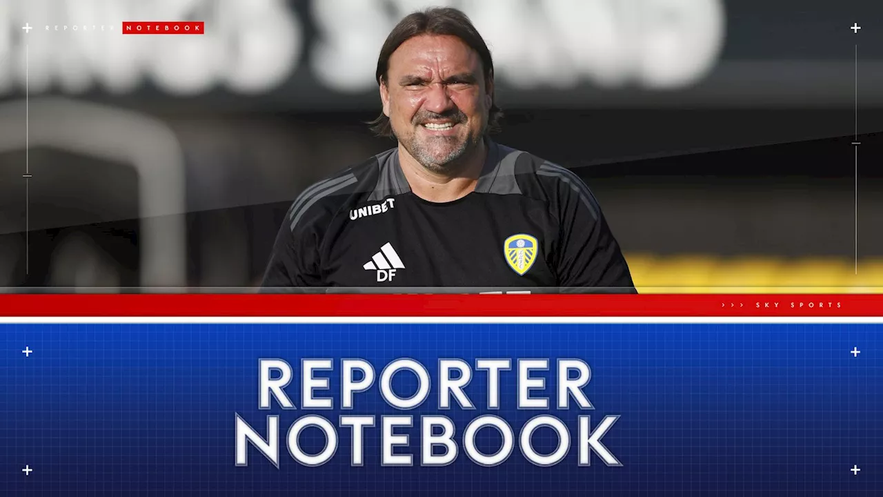 Leeds reporter notebook: Daniel Farke's side in a good place but promotion critical