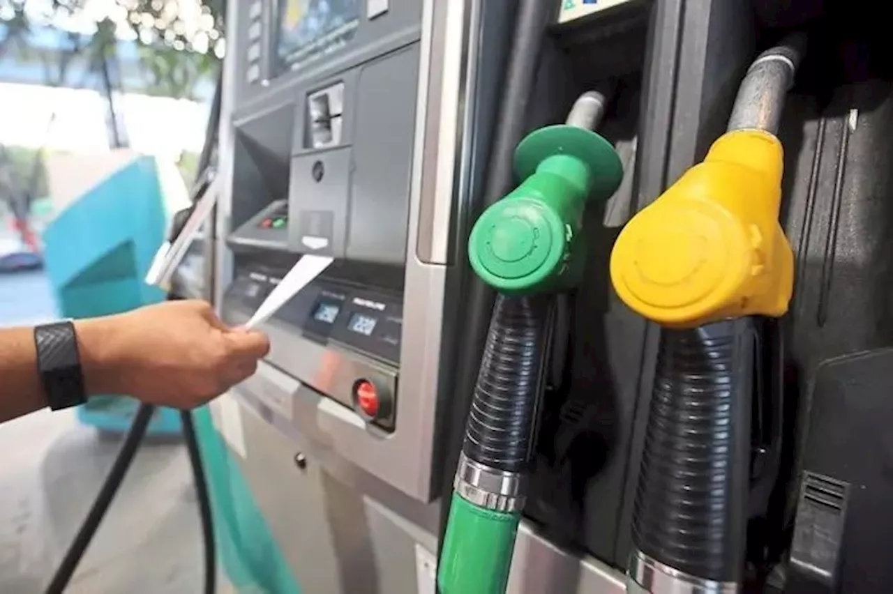 Targeted fuel subsidies to drive long-term growth