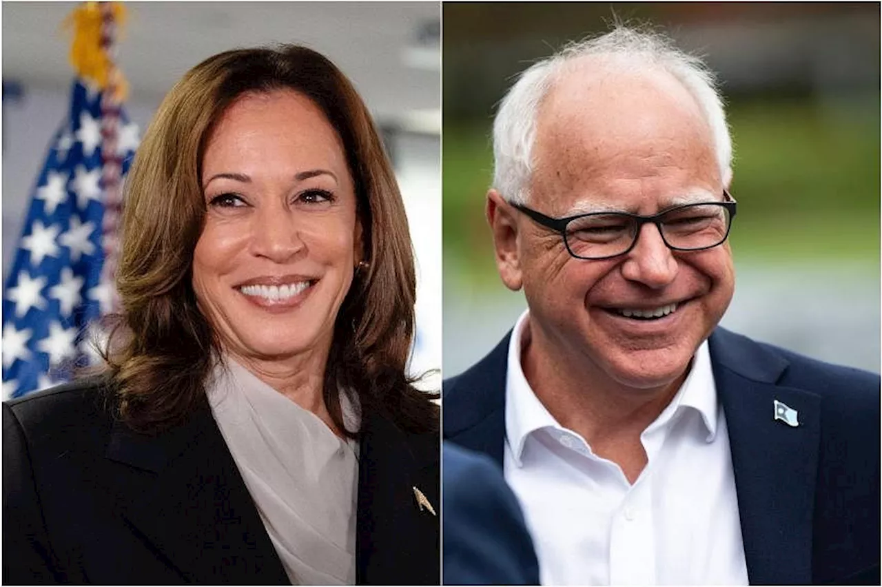 Kamala Harris picks Minnesota's Tim Walz for her US vice-president candidate: US media