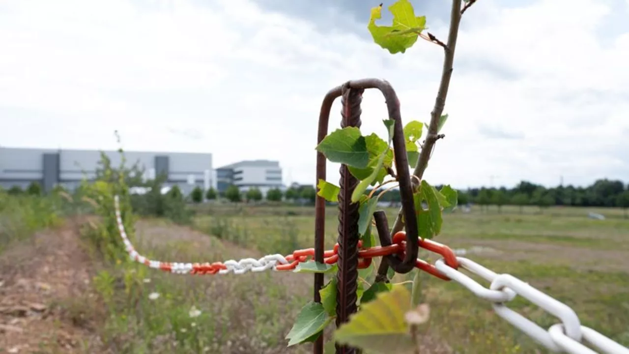 Halbleiterfabrik: TSMC-Ansiedlung in Dresden - Umland will Chancen nutzen