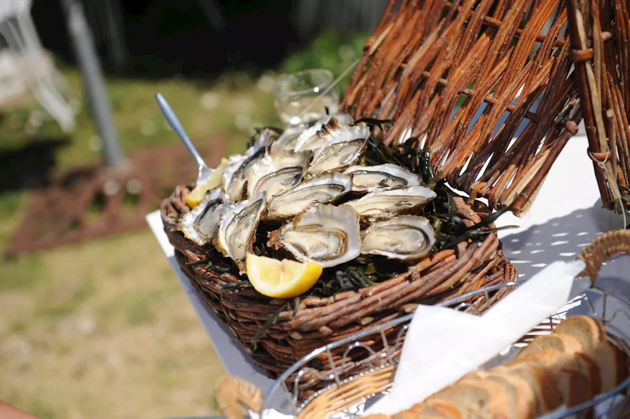 Huîtres de Marennes-Oléron, sel de ré, jonchée, suivez notre sélection des spécialités culinaires de Charente-Maritime