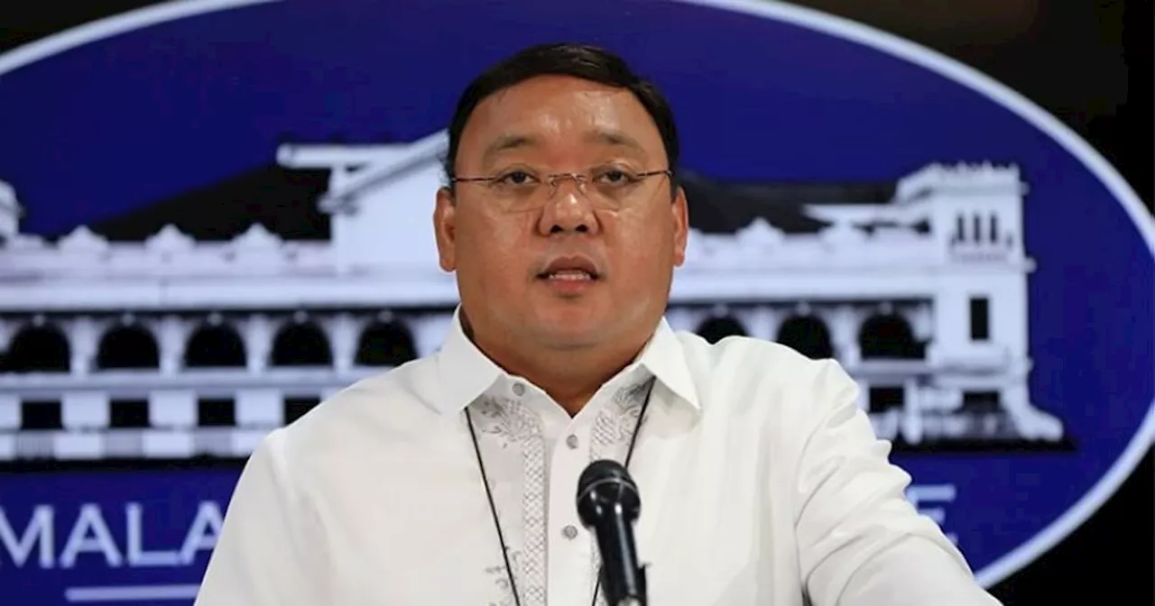 Harry Roque, 11 others placed under immigration lookout bulletin