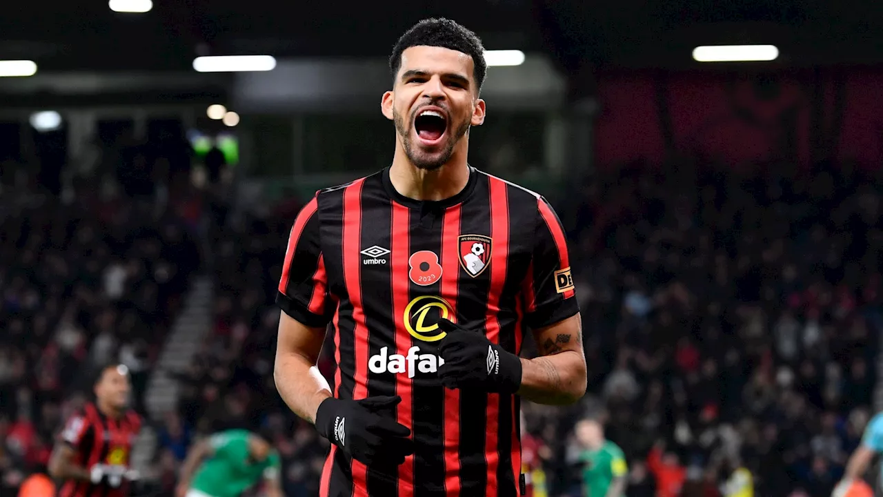 Tottenham told to target Ivan Toney with Dominic Solanke more suited to Premier League rivals...