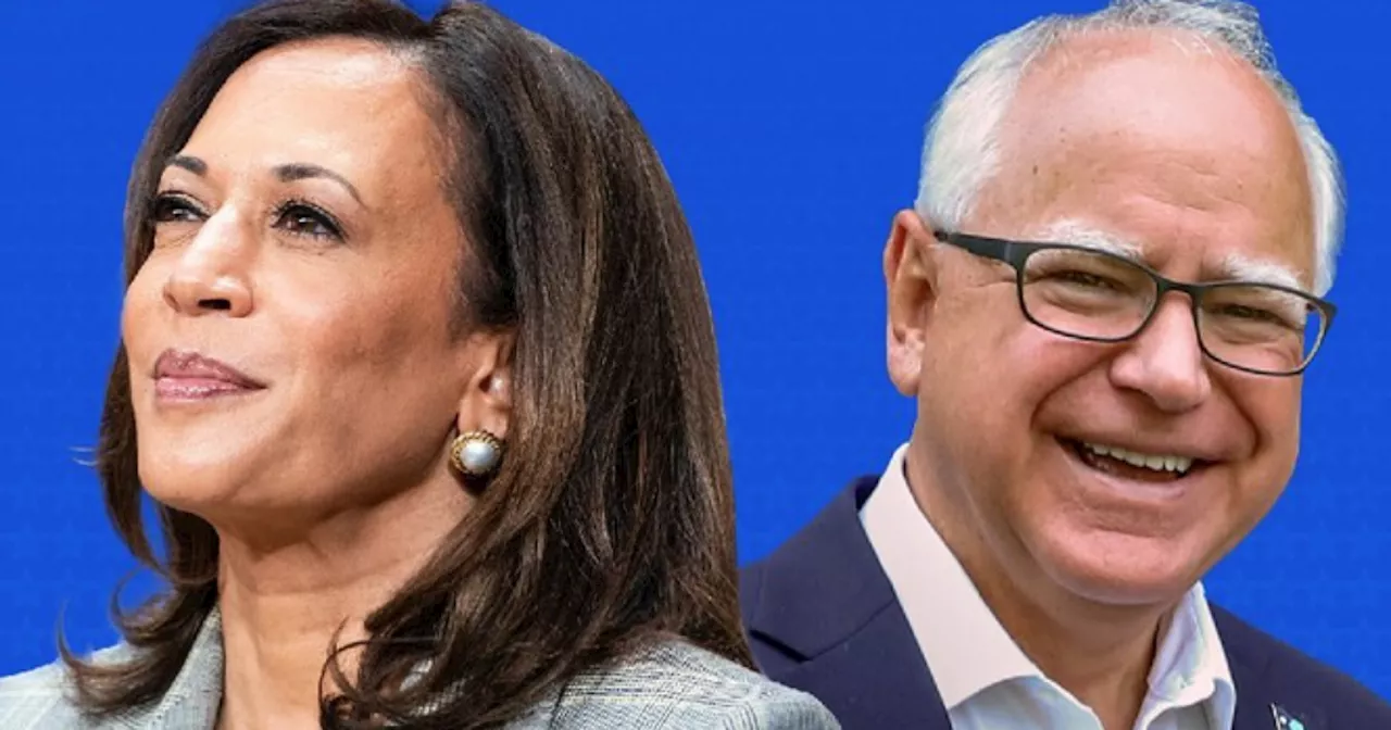 Kamala Harris anuncia Tim Walz como vice na disputa pela Casa Branca