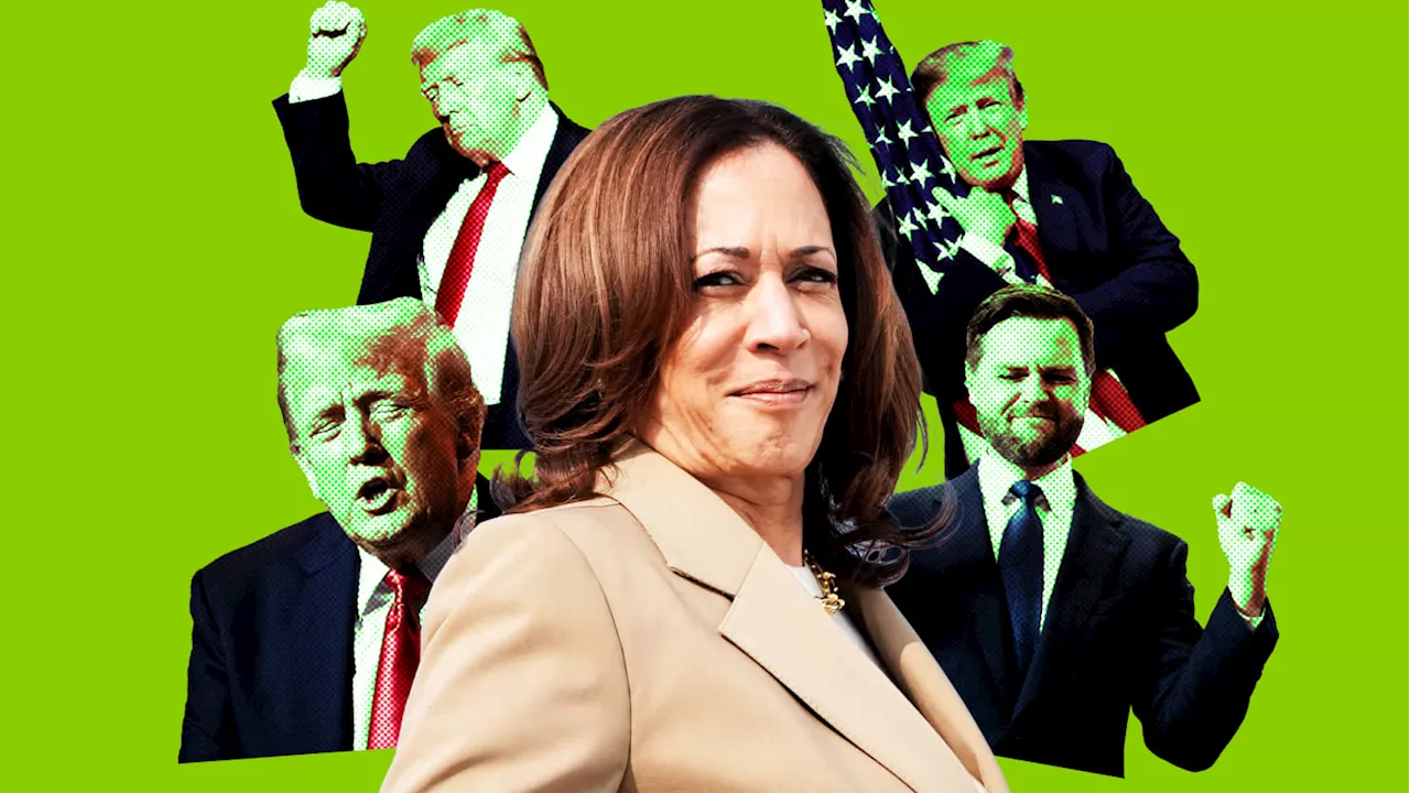 Kamala Has Picked a Winning Strategy With ‘Weird’