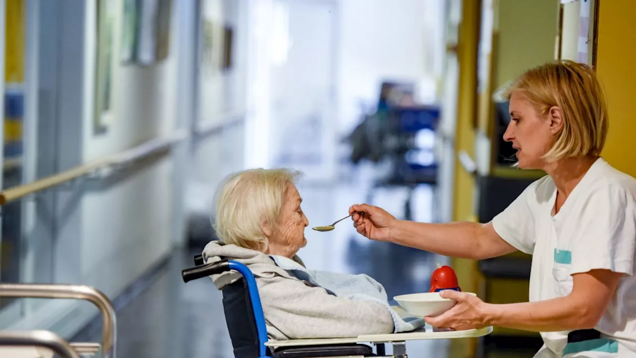 Can you buy the NHS soup and shake diet? How the programme works