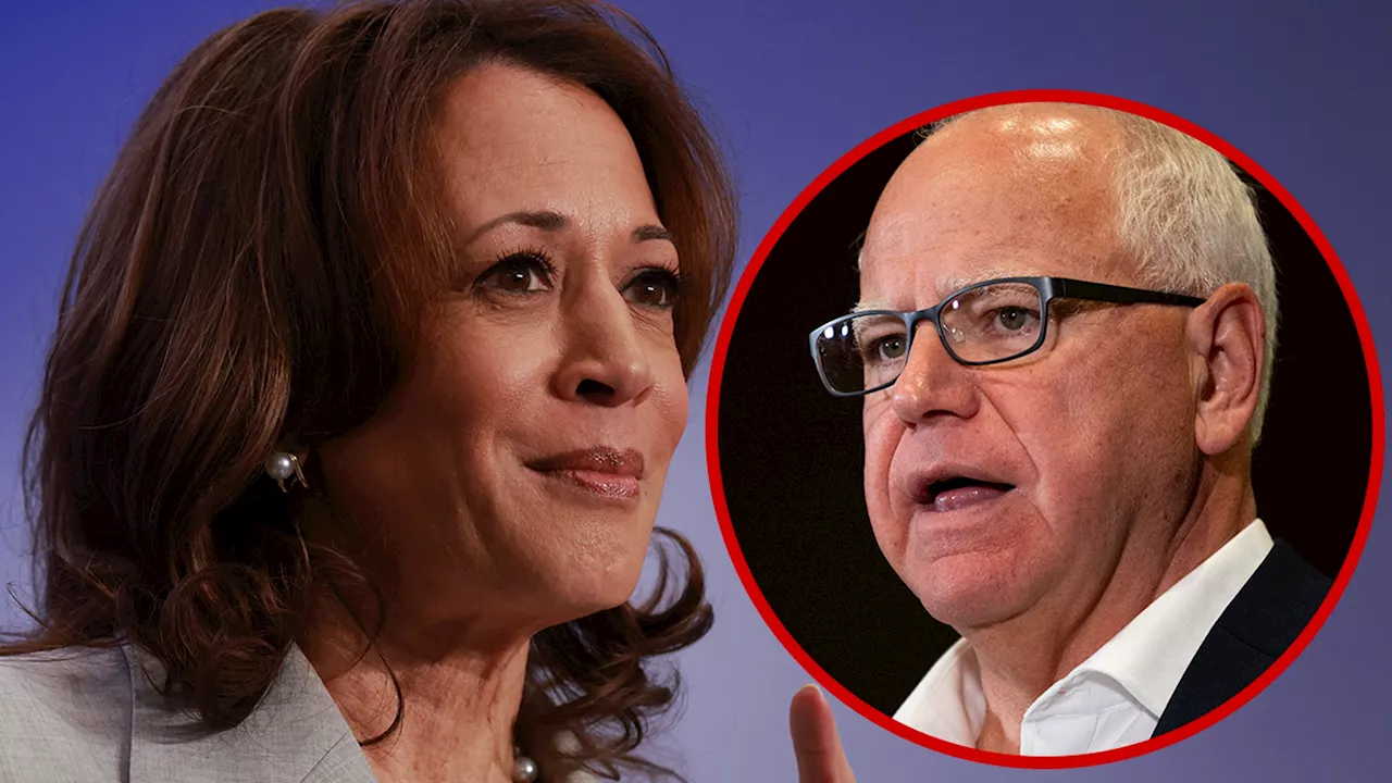 Kamala Harris Picks Tim Walz as Vice Presidential Running Mate