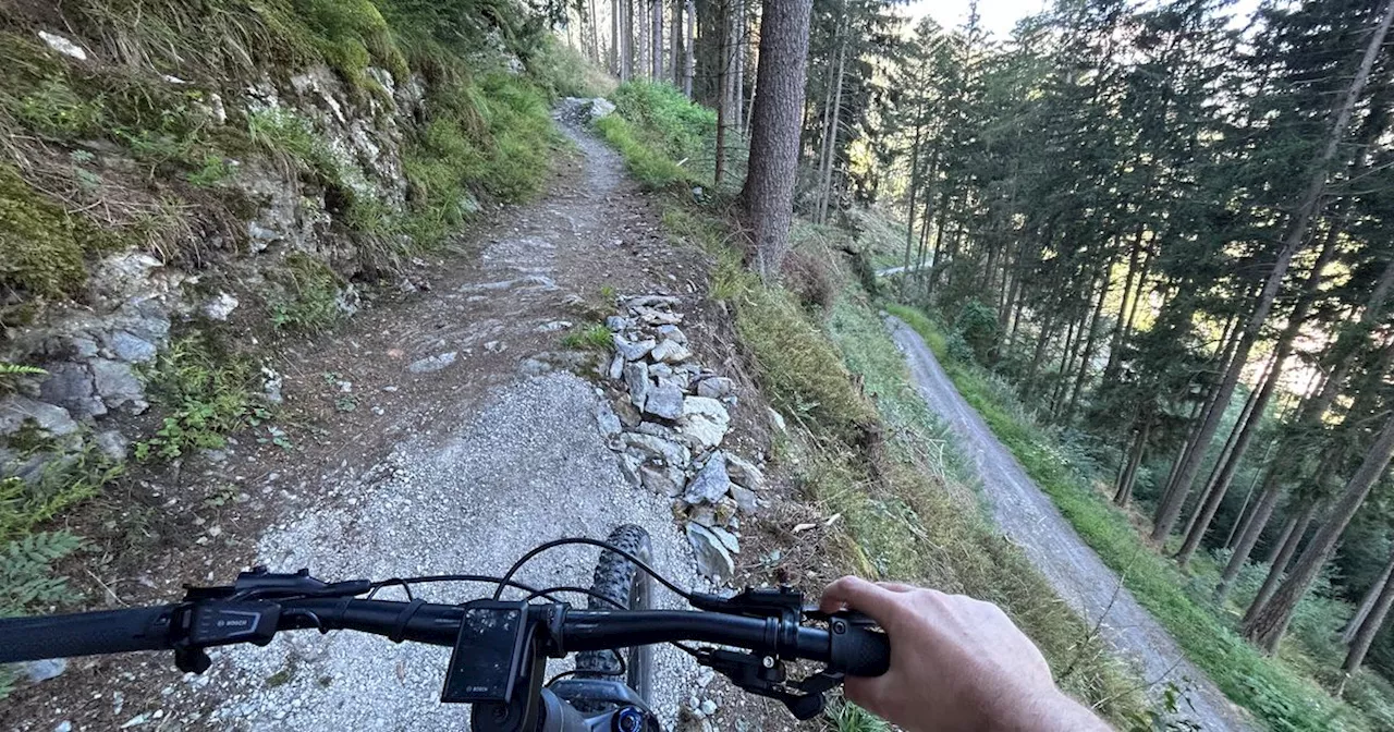 Warum zwei Radfahrer im Landecker Schlosswald starben und keiner etwas tun kann