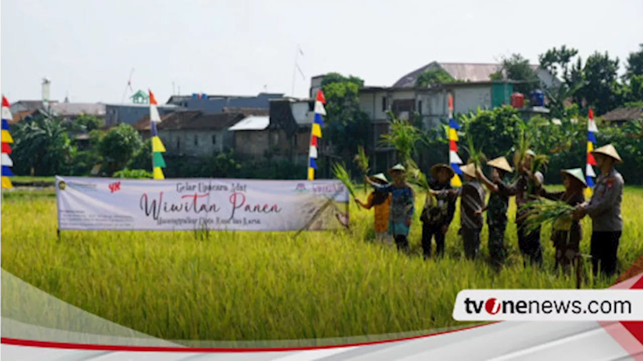 Lahan Persawahan Tersisa 37 Hektar, Pemkot Yogyakarta Larang Adanya Alih Fungsi Lahan